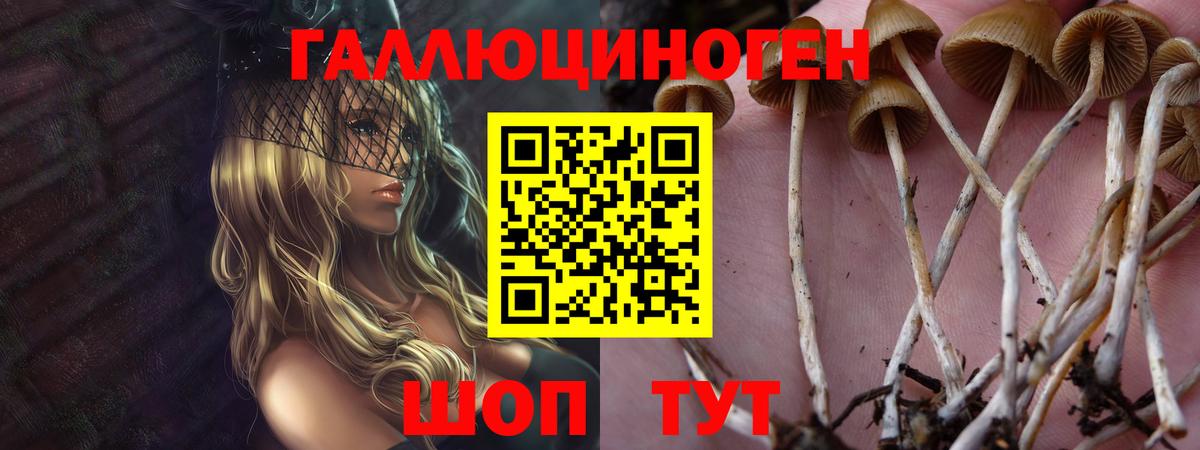 Калининград  Галлюциногенные грибы Magic Shrooms  Вход с VPN  Галлюциногенные грибы Psilocybe 